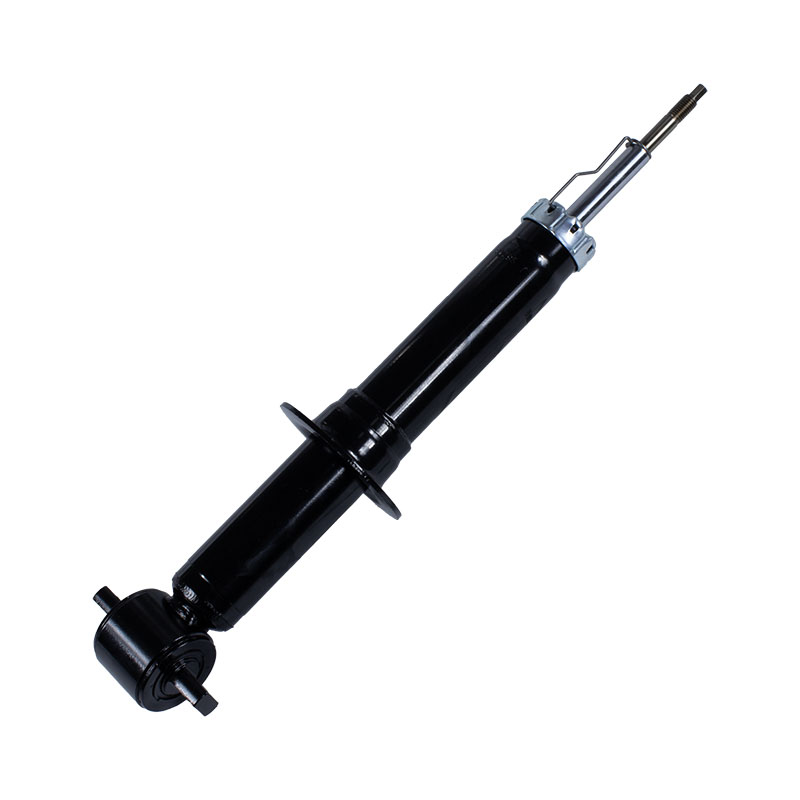 72651 3410023 EL3Z18124A shock absorber for FORD Pickup Serie F-100 F-150, Lobo  2WD 2014-